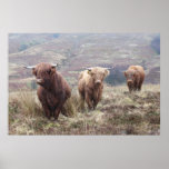 Proud To Be Scottish! Poster