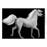 Proud White Horse Greeting Cards