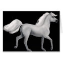 Proud White Horse cards