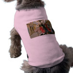 Provence Shoes and Boots pet clothing