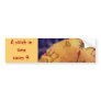 Proverb in Medieval Style, Acrylic Painting Bumper Stickers