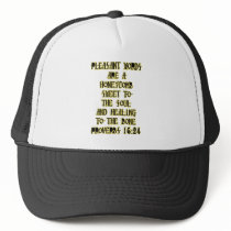 Proverbs 16:24 mesh hat