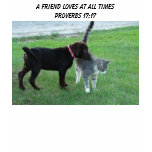 Proverbs 17:17,A Friend Loves At All Times t-shirts