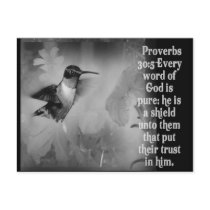 Proverbs 30:5 BIBLE SCRIPTURE with Hummingbird Post Cards
