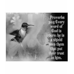 Proverbs 30:5 BIBLE SCRIPTURE with Hummingbird t-shirts