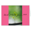 Proverbs 31:29 cards