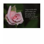Proverbs 31:30 Scripture T-Shirt