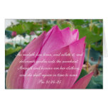 Proverbs 31 Collection ~ Pro 31:24-25 cards