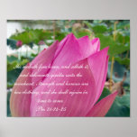 Proverbs 31 Collection~ Pro 31:24-25 posters