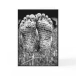 proverbs 31 feet cards