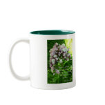 Proverbs 31 mugs