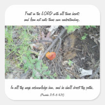 Proverbs 3:5-6 square stickers