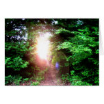 Proverbs 3:6 - greeting card