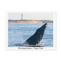 Provincetown - Cape Cod postcard