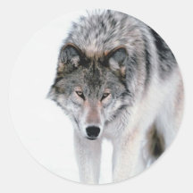 Prowling Wolf Stickers