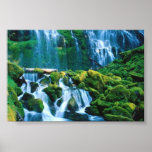 Proxy Falls, Oregon posters