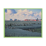 Prudhoe Bay, Alaska Postcards