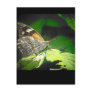 Psa 34:11 The butterfly and the bug Postcard