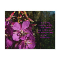 Psalm 120:1 Psalm of Encouragement Postcard