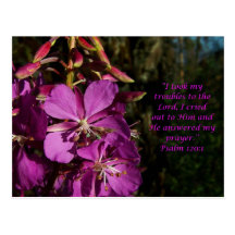 Psalm 120:1 Psalm of Encouragement Postcard