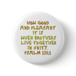 Psalm 133:1 pin