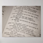 Psalm 18:19 [Print]