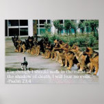 Psalm 23:4 posters