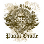 Psalm 91- Under the Shadow t-shirts
