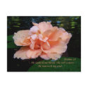 Psalms 23 Postcard