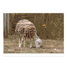 Psalms 23 postcards