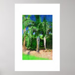 Pseudophoenix palm tree, Oil painting Poster