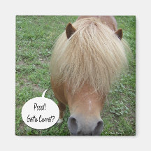 psst! Gotta carrot? Magnets