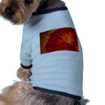psychedelic abstract art pet clothing