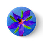Psychedelic Borage buttons