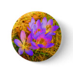 Psychedelic Crocus buttons