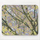 Psychedelic Nature Mousepad