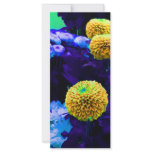 Psychedelic pop flowers rack cards