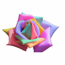 Psychedelic Rainbow Rose