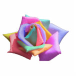 Psychedelic Rainbow Rose photo sculptures
