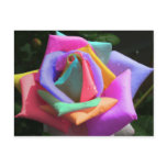 Psychedelic Rainbow Rose