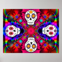 Psychedelic Skulls Poster posters