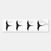 PT11 Pacific Swift Stckers Bumper Stickers