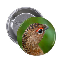 ptarmigan button