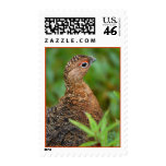 ptarmigan postage stamps