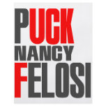 Puck Nancy Felosi Pelosi Flyers