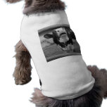 Pucker Up! pet clothing