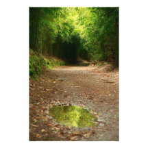 Puddle of water photograph