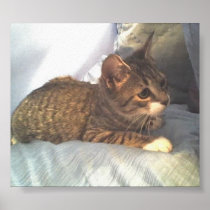 PUDDY CAT POSTER