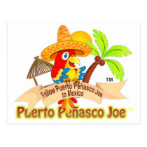 Puerto Penasco Mexico Parrot postcards
