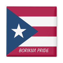 Puerto Rico Flag Magnet magnets
